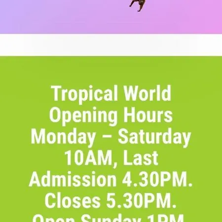 Appartamento Lisvarna House